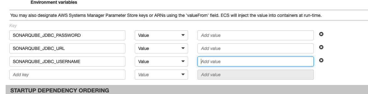 SonarQube environment variables