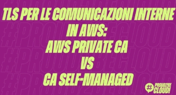 TLS per le comunicazioni interne in AWS: AWS Private CA vs CA Self-Managed